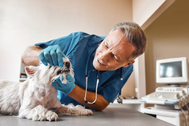 Best Weekend Emergency Dentist in Iselin, NJ